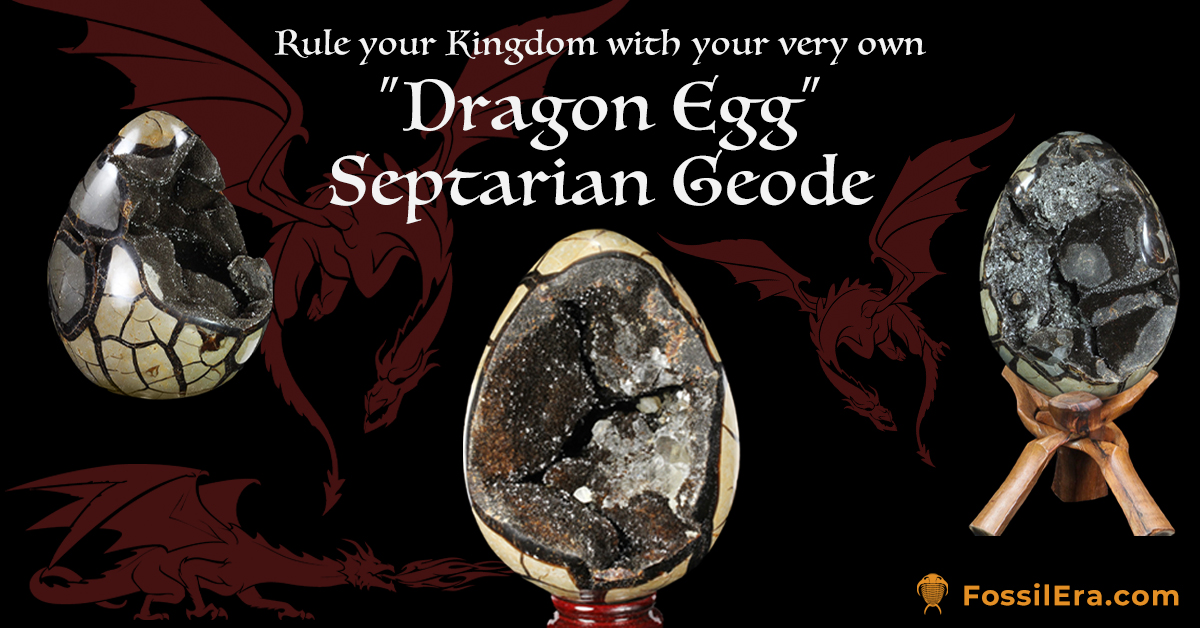 Septarian Dragon Eggs For Sale